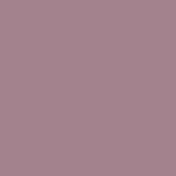 pink-daisy-papatya-pembesi
